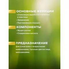 ANYVERA CREAM SNAIL Омолаживающий крем с муцином улитки 100 мл, изображение 4