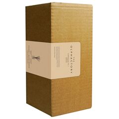 Диффузор ароматический The Olphactory, Ревень, 500 мл, Ambientair, изображение 3