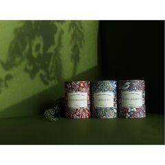 Свеча ароматическая Enchanted Forest, Белый жасмин, 40 ч, Ambientair, изображение 4