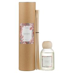 Диффузор ароматический Gifting, Корица и яблоко, 100 мл, Ambientair