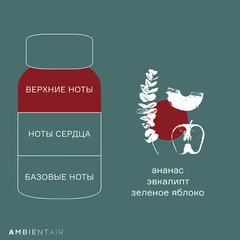 Диффузор ароматический Gifting, Корица и яблоко, 100 мл, Ambientair, изображение 4