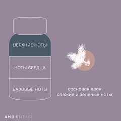 Диффузор ароматический Enchanted Forest, Белый жасмин, 100 мл, Ambientair, изображение 5