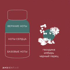 Диффузор ароматический Gifting, Имбирное печенье, 100 мл, Ambientair, изображение 4