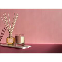 Диффузор ароматический Lacrosse Термальный источник 100 мл, Ambientair, изображение 3