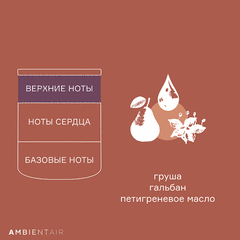 Свеча ароматическая Enchanted Forest, Гранат, 40 ч, Ambientair, изображение 6