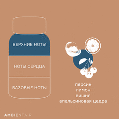 Диффузор ароматический Gifting, Печенье и ягоды, 100 мл, Ambientair, изображение 4