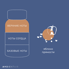 Диффузор ароматический Gifting, Карамель и яблоко, 100 мл, Ambientair, изображение 5