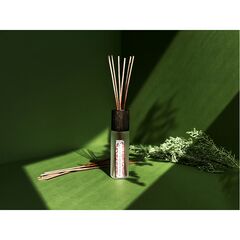 Диффузор ароматический Enchanted Forest, Гранат, 100 мл, Ambientair, изображение 2