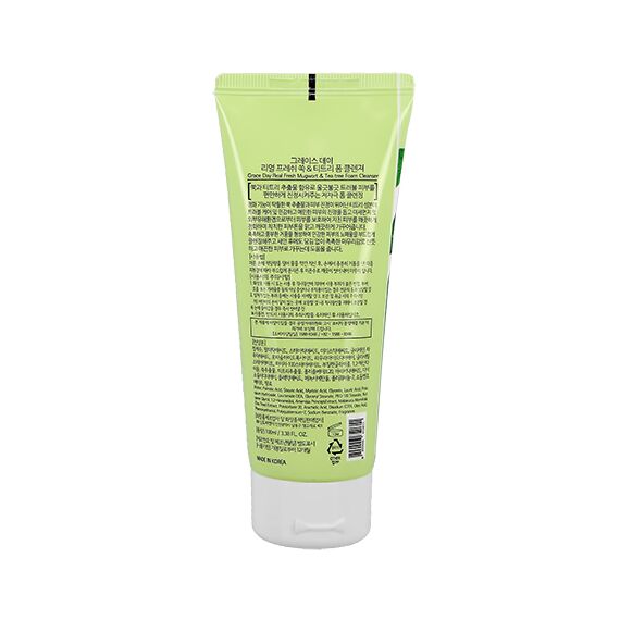 GRACE DAY Real Fresh Пенка для умывания Полынь и Чайное дерево 100 мл, изображение 3