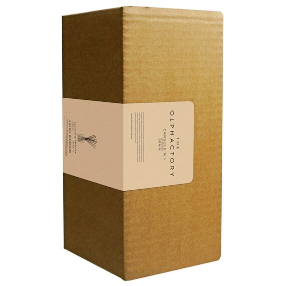 Диффузор ароматический The Olphactory, Листва и красный апельсин, 500 мл, Ambientair, изображение 3