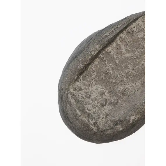 GRACE DAY Пенка для умывания с Древесным углем 180 мл, изображение 7