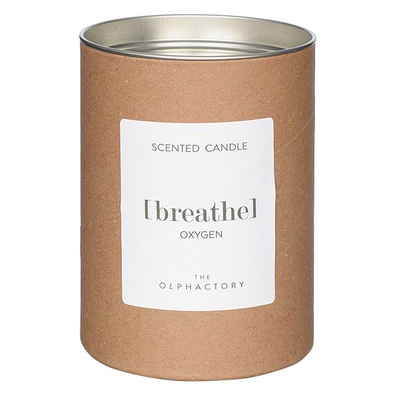 Свеча ароматическая The Olphactory, Breathe, Кислород (новая), 40 ч, Ambientair, изображение 3