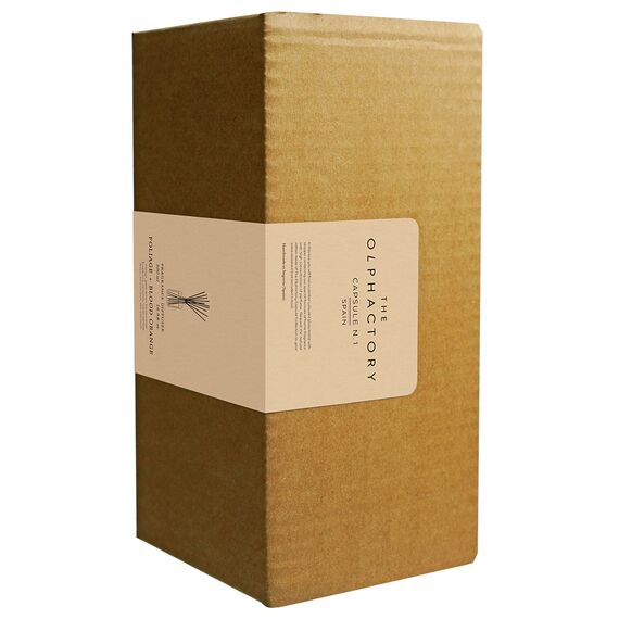 Диффузор ароматический The Olphactory, Ревень, 500 мл, Ambientair, изображение 3