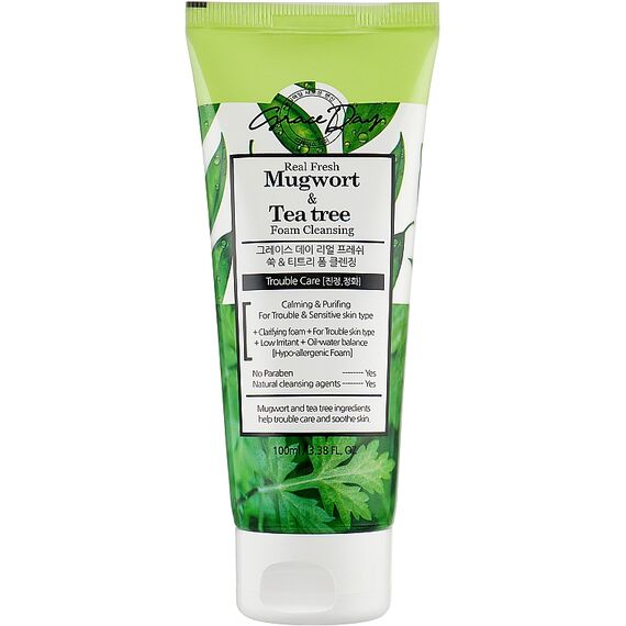 GRACE DAY Real Fresh Пенка для умывания Полынь и Чайное дерево 100 мл