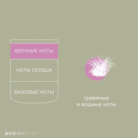 Свеча ароматическая Sublime, Черный бамбук, 40 ч, Ambientair, изображение 5