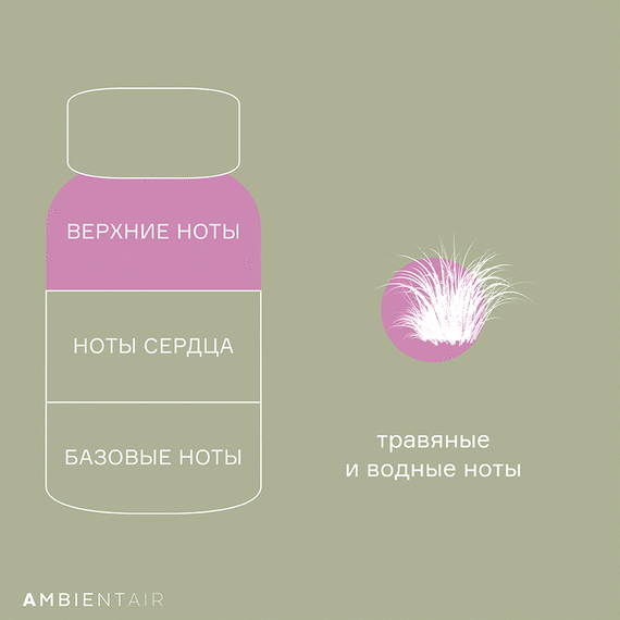 Диффузор ароматический Sublime, Черный бамбук, 180 мл, Ambientair, изображение 5