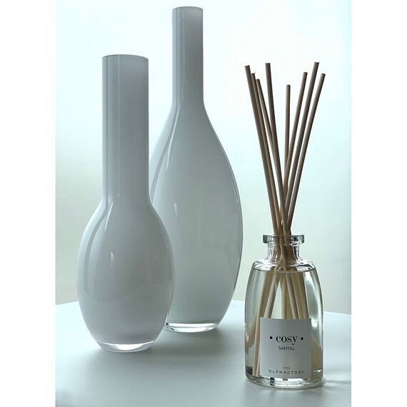 Диффузор ароматический The Olphactory COSY Сандал 250 мл, Ambientair, изображение 2