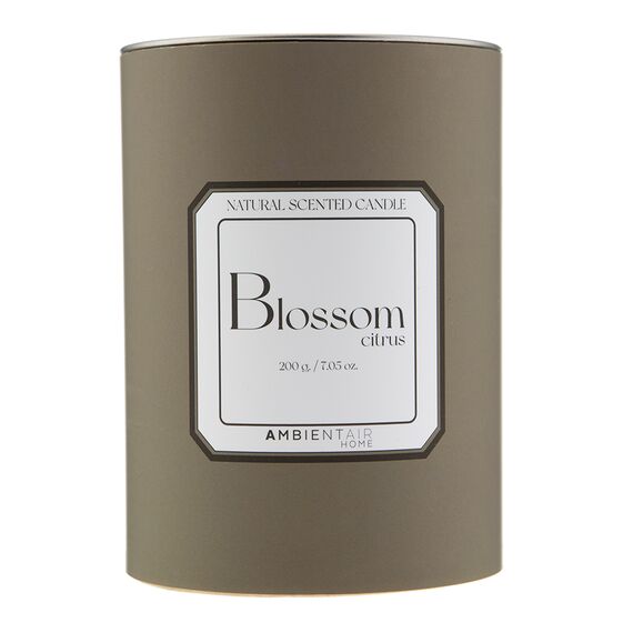 Свеча ароматическая Sublime, Цитрусовый цвет, 40 ч, Ambientair, изображение 4