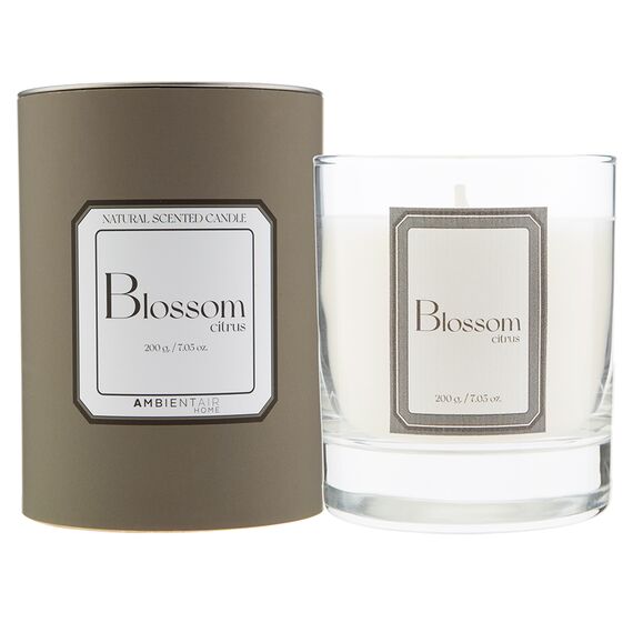 Свеча ароматическая Sublime, Цитрусовый цвет, 40 ч, Ambientair