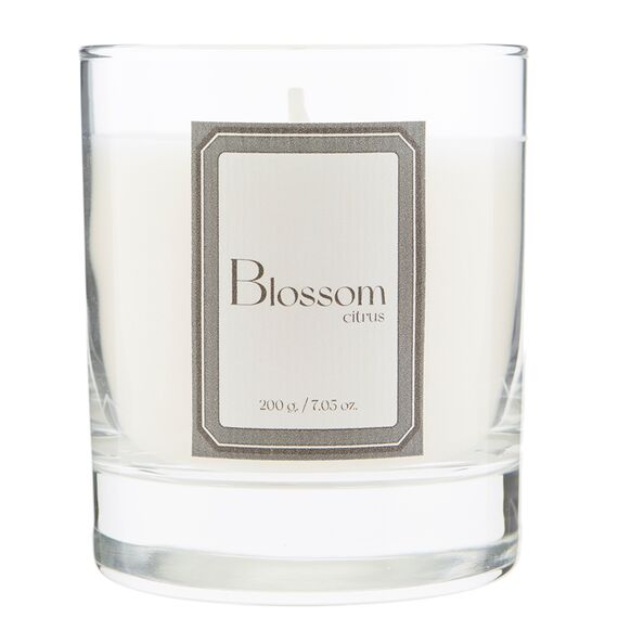 Свеча ароматическая Sublime, Цитрусовый цвет, 40 ч, Ambientair, изображение 3