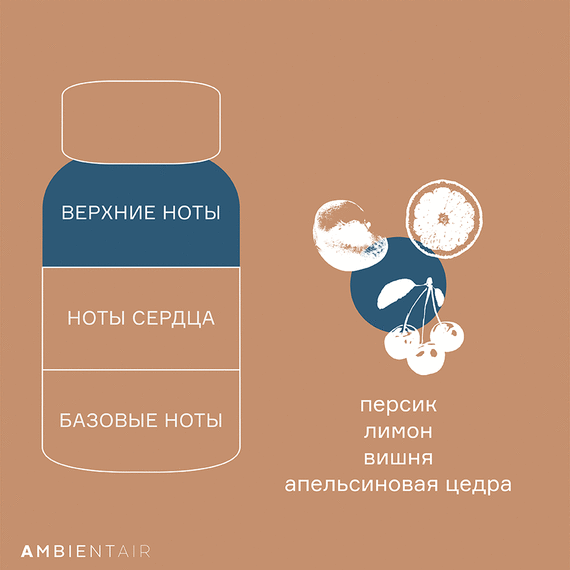 Диффузор ароматический Gifting, Печенье и ягоды, 100 мл, Ambientair, изображение 4