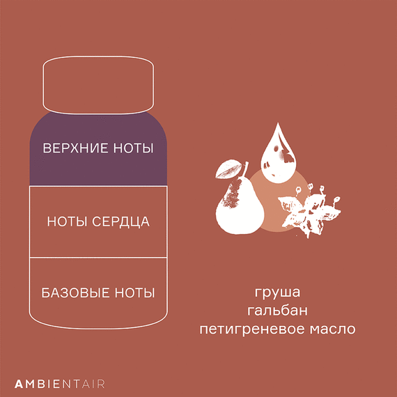 Диффузор ароматический Enchanted Forest, Гранат, 100 мл, Ambientair, изображение 6