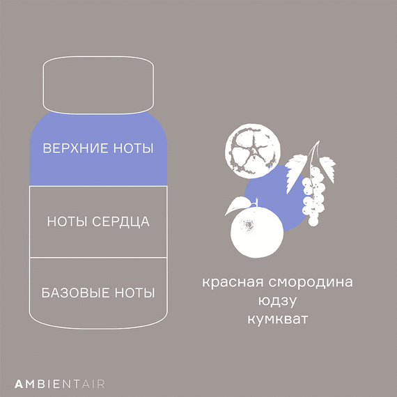 Диффузор ароматический Sublime, Цитрусовый цвет, 180 мл, Ambientair, изображение 5