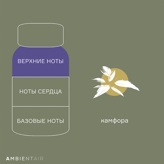 Диффузор ароматический Enchanted Forest, Eль, 100 мл, Ambientair, изображение 5