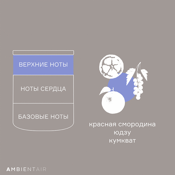 Свеча ароматическая Sublime, Цитрусовый цвет, 40 ч, Ambientair, изображение 2